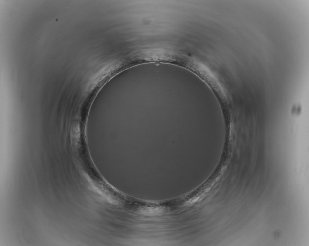 X0000091940202200709051529