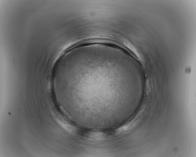 X0000091940203200709051529