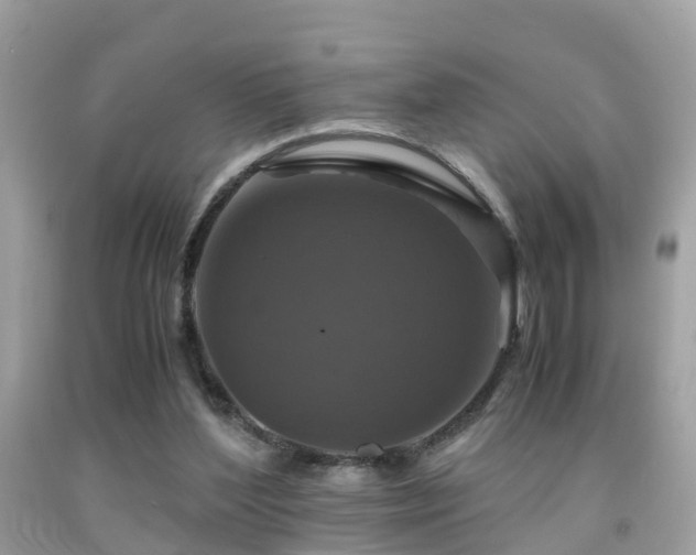 X0000091940204200709051529