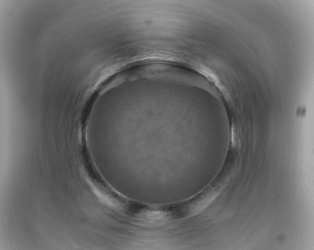 X0000091940205200709051529