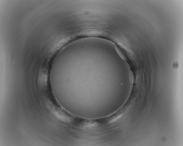 X0000091940206200709051529