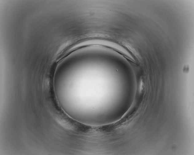 X0000091940207200709051529