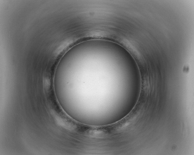 X0000091940208200709051529