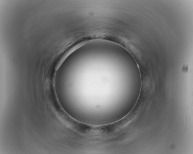 X0000091940209200709051529