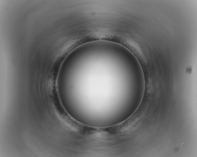 X0000091940210200709051529