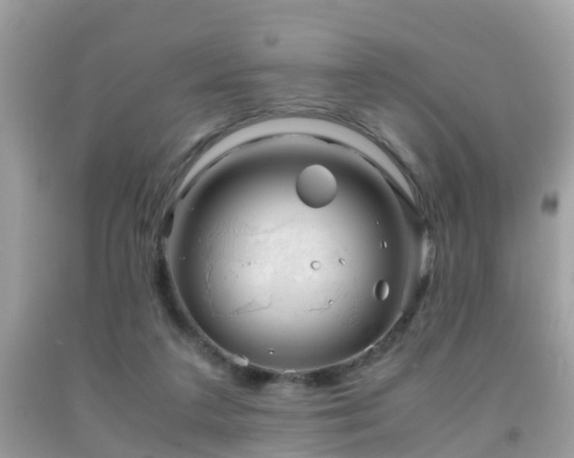 X0000091940211200709051529