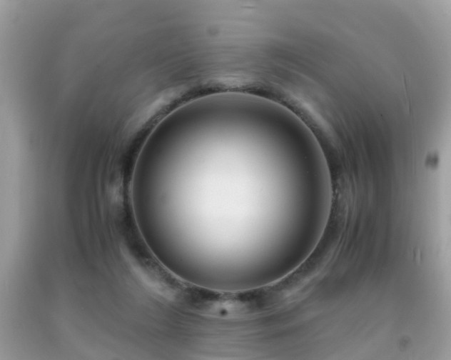 X0000091940212200709051529