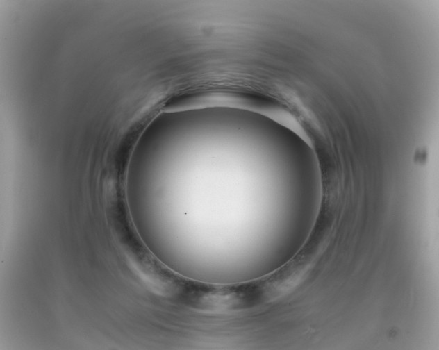 X0000091940213200709051529