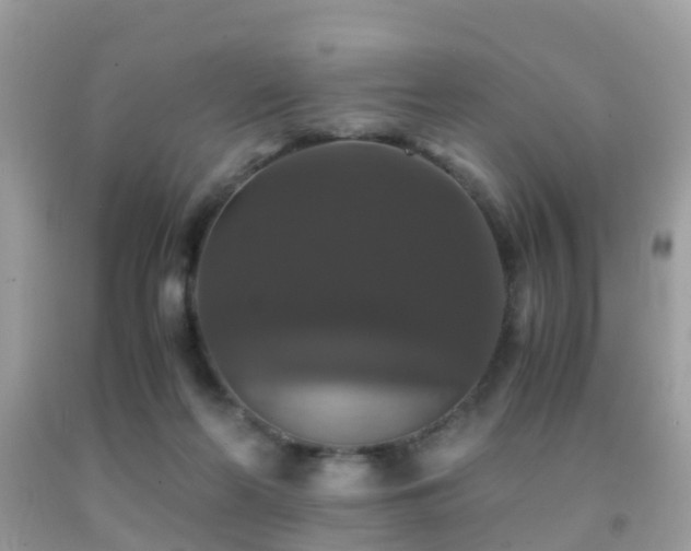 X0000091940214200709051529