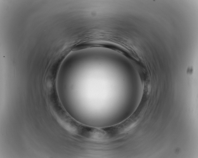 X0000091940215200709051529