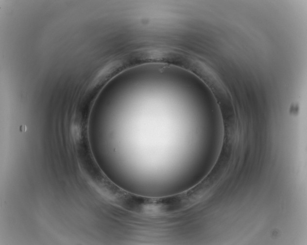 X0000091940216200709051529