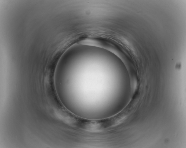 X0000091940217200709051529