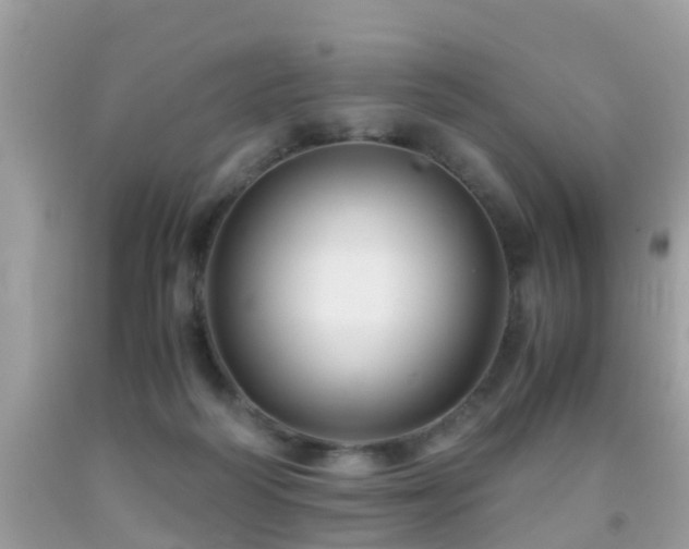 X0000091940218200709051529