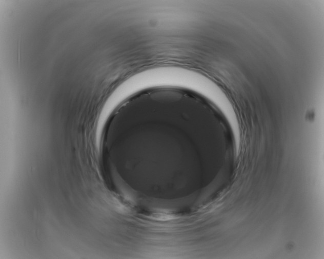 X0000091940219200709051529