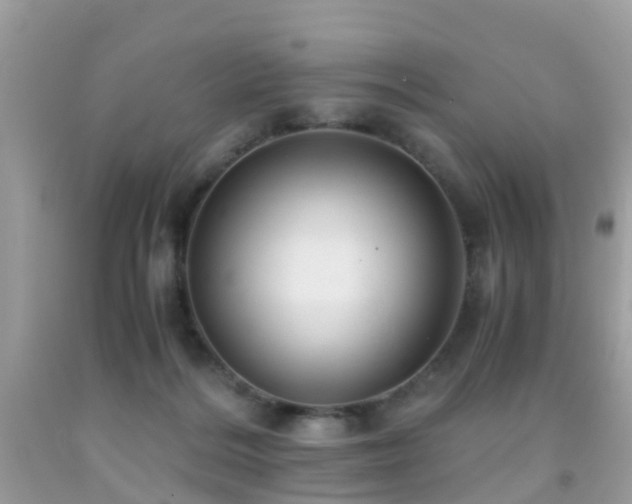 X0000091940220200709051529