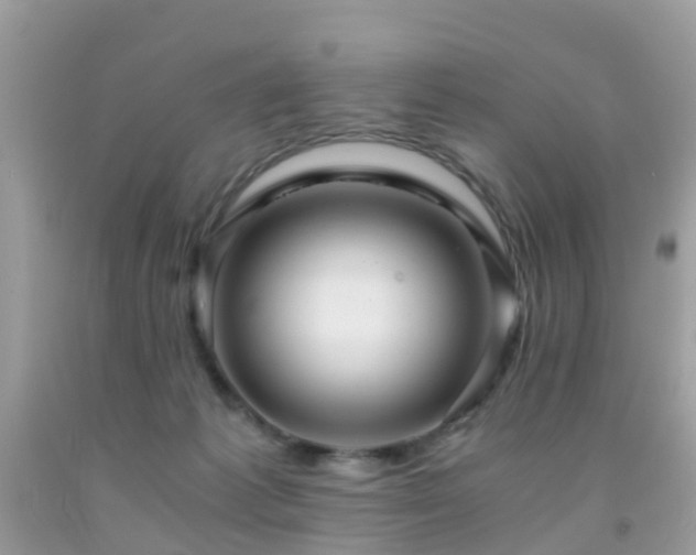 X0000091940221200709051529