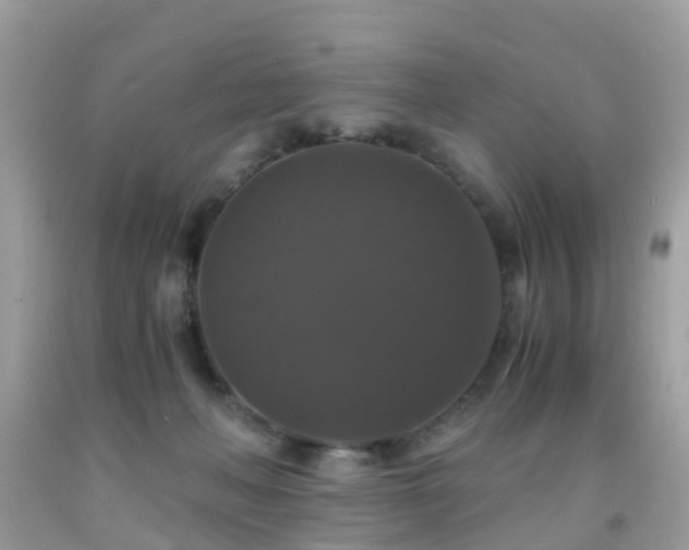 X0000091940222200709051529