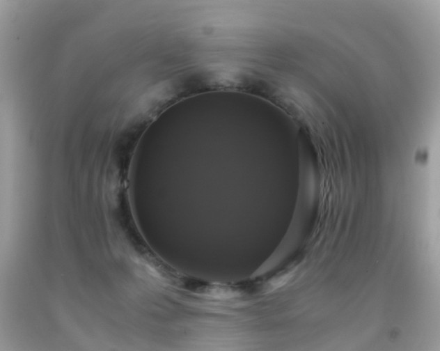 X0000091940223200709051529