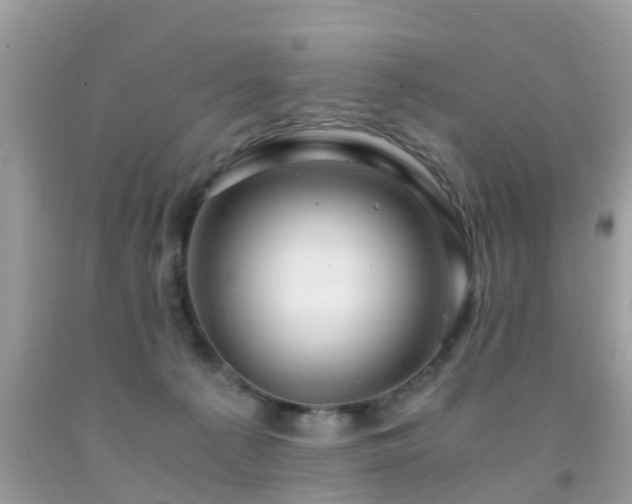 X0000091940225200709051529