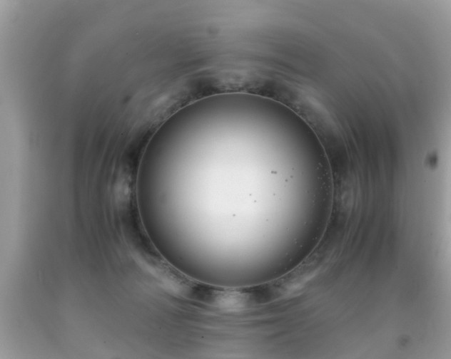 X0000091940226200709051529