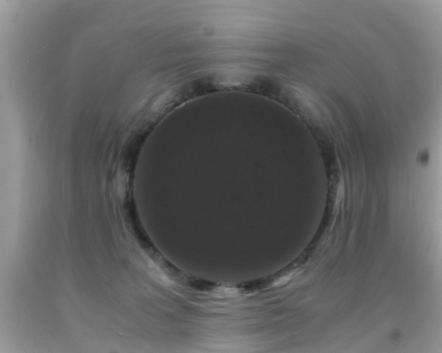 X0000091940227200709051529