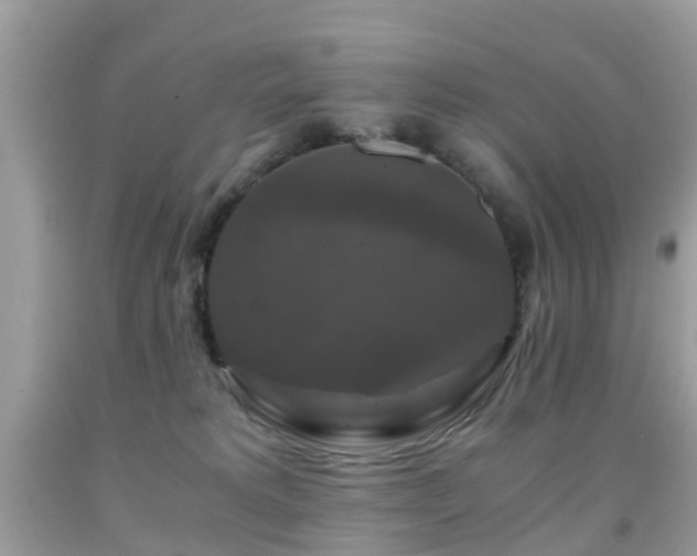 X0000091940229200709051529