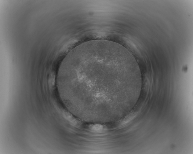 X0000091940230200709051529