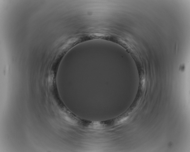 X0000091940231200709051529