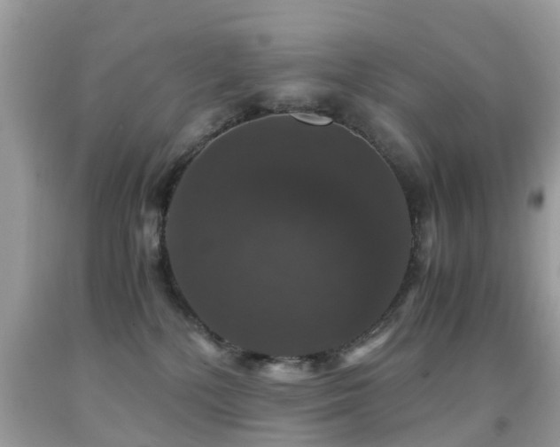 X0000091940232200709051529