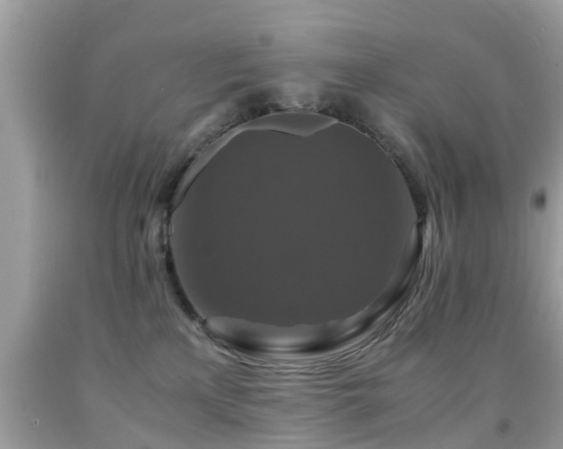 X0000091940233200709051529