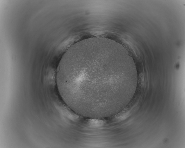 X0000091940234200709051529