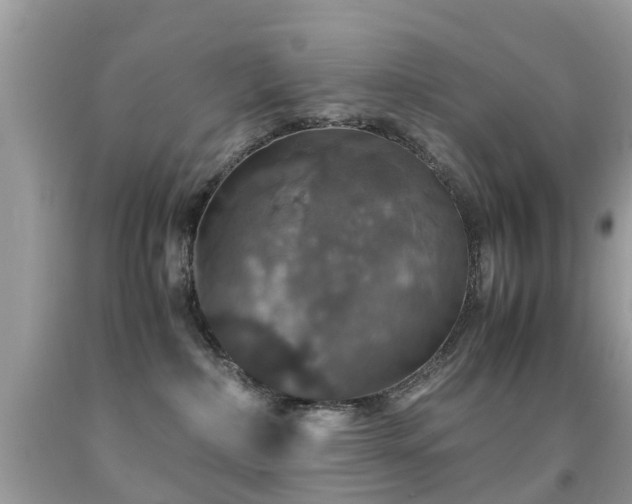 X0000091940236200709051529