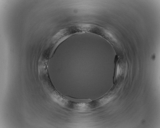 X0000091940237200709051529