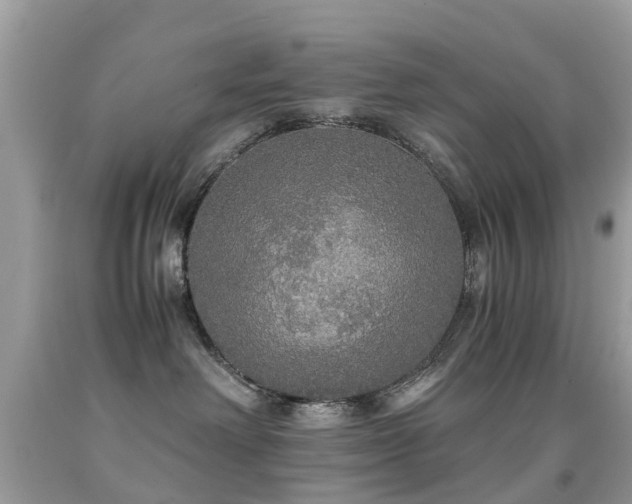 X0000091940238200709051529