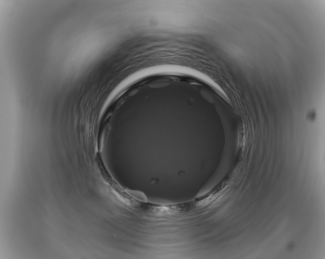 X0000091940239200709051529