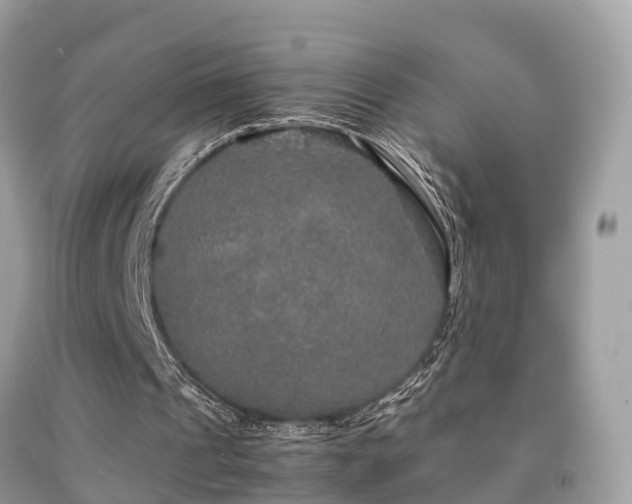 X0000091940241200709051528