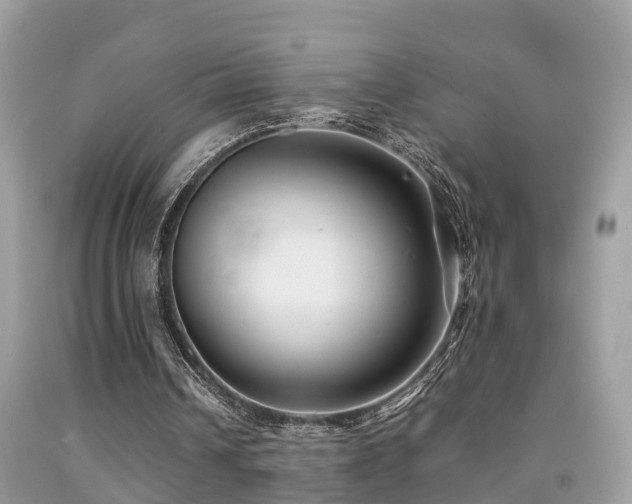 X0000091940242200709051528