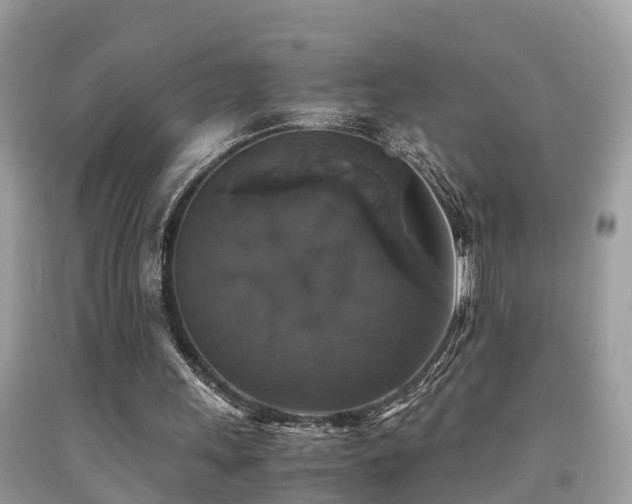 X0000091940243200709051528