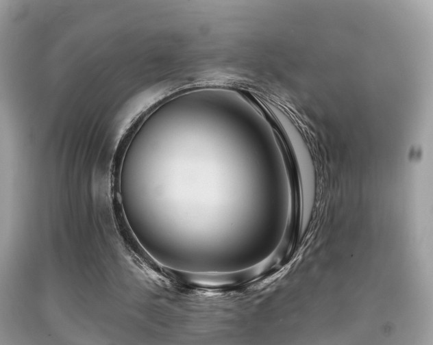 X0000091940244200709051528