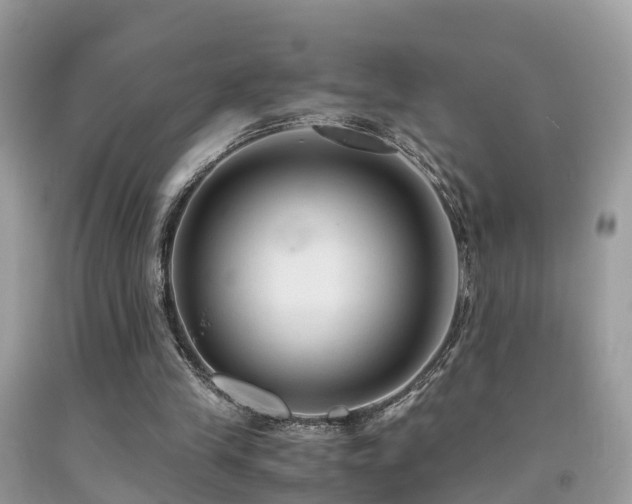 X0000091940245200709051528