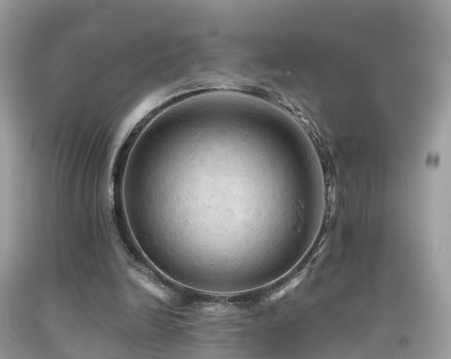 X0000091940246200709051528