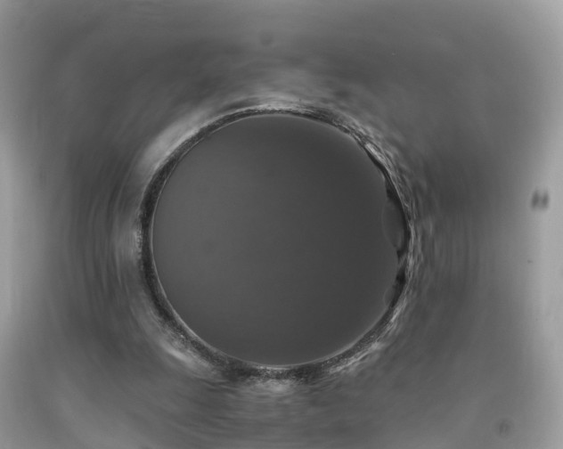 X0000091940247200709051528