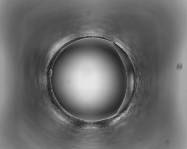 X0000091940248200709051528