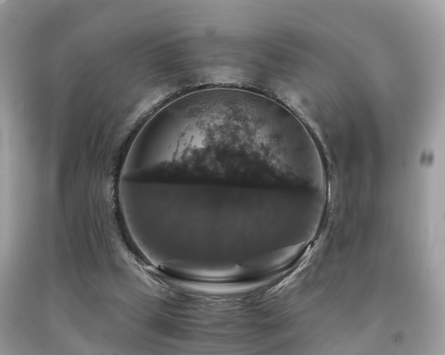 X0000091940249200709051528