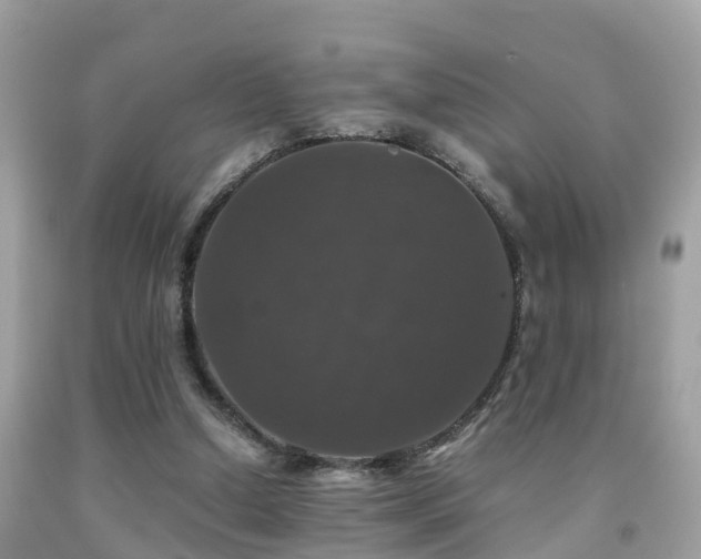 X0000091940250200709051528