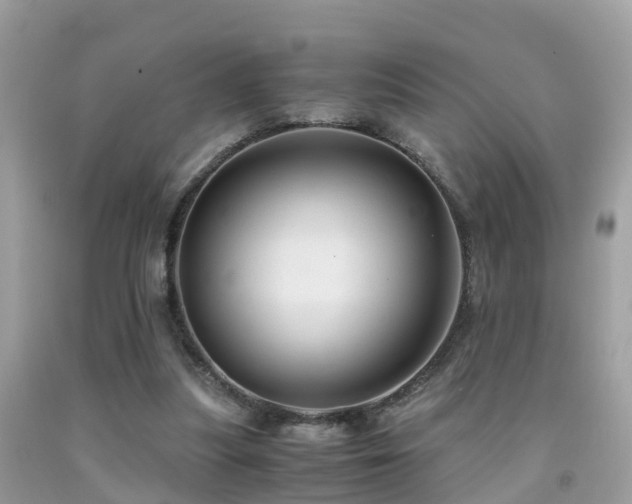 X0000091940251200709051528