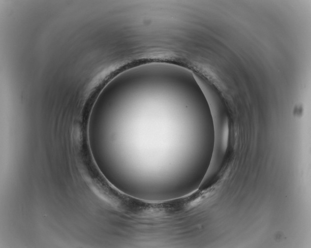 X0000091940252200709051528