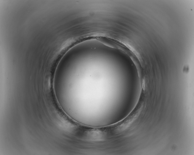 X0000091940253200709051528