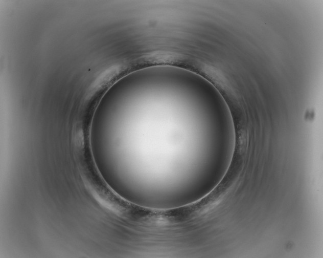 X0000091940254200709051528