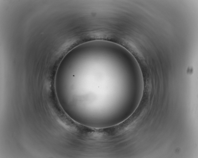 X0000091940255200709051528